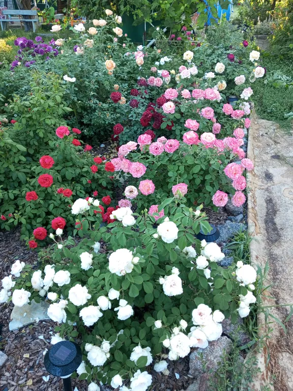 Уютная дача посуточно для семейного отдыха, ночлега