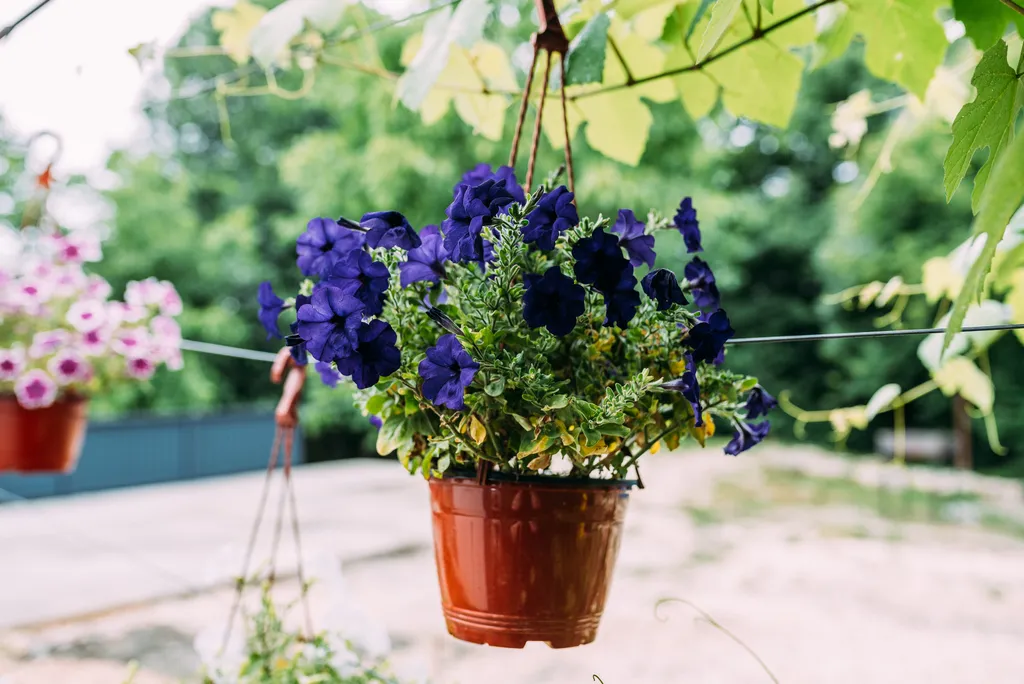 Уютный дом для небольшой компании