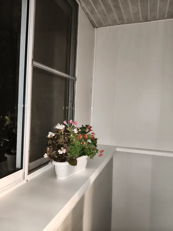 Уютная и тёплая квартира