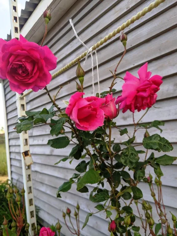 Уютный отдельный домик для семейного отдыха