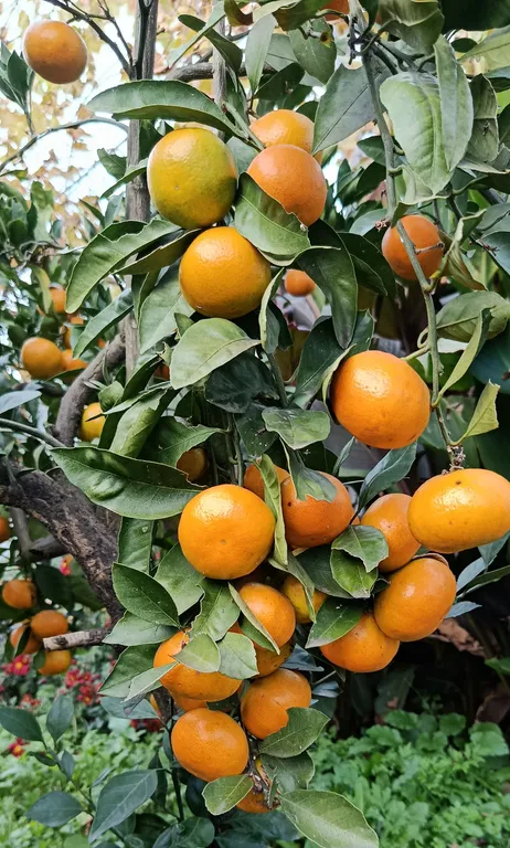 Двухкомнатные апартаменты на берегу моря