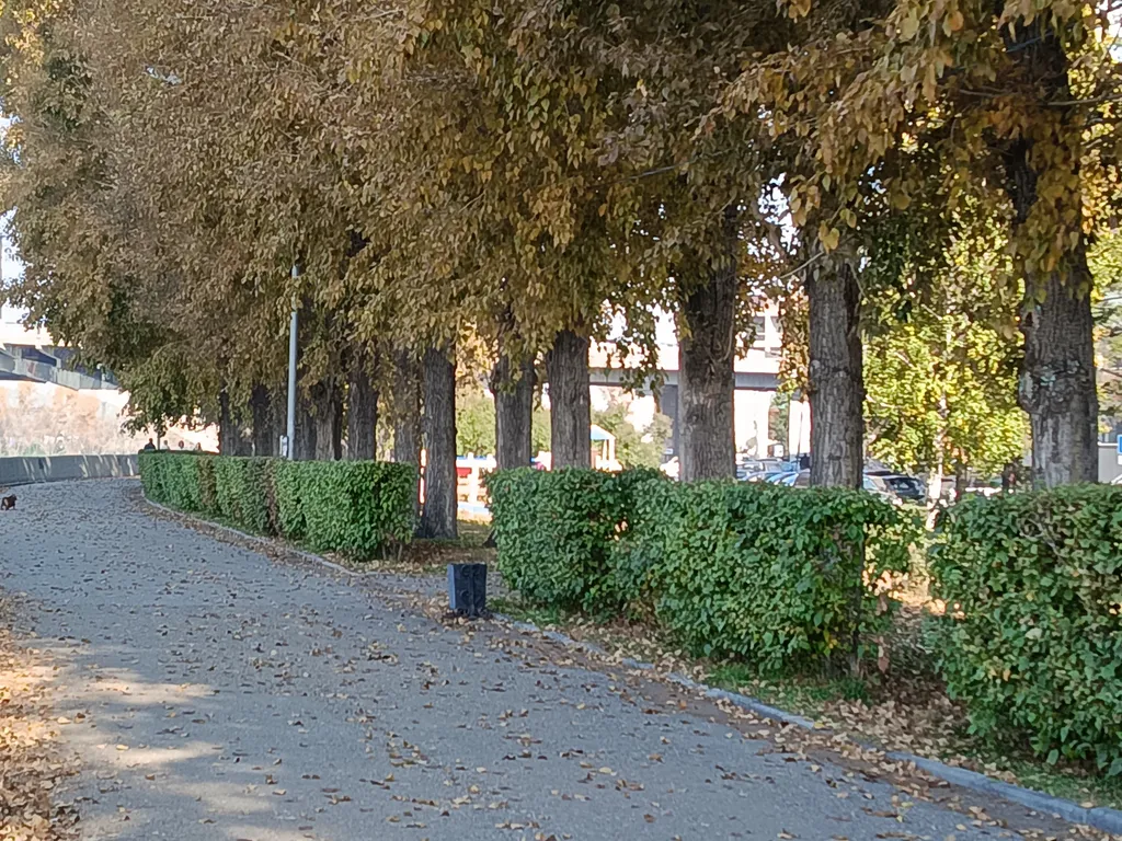 Квартира Уютная квартира с красивым видом на реку Ангара — Иркутск