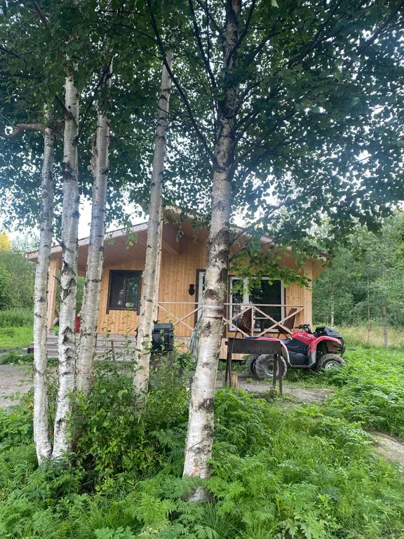 Дом прямо на берегу Беломоро-Балтийского канала "Дикая клюква"