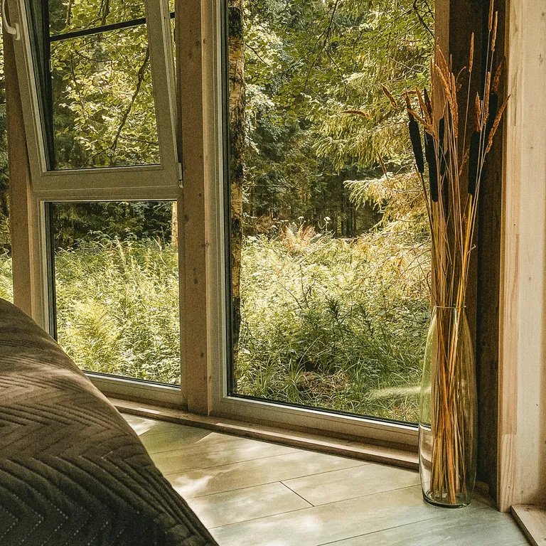 Уютный дом в лесу