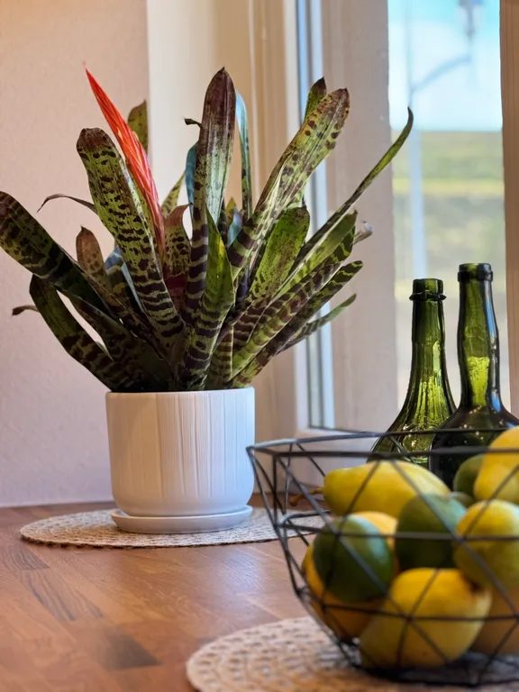 Квартира Квартира на озере рядом с лесом — Светлогорск