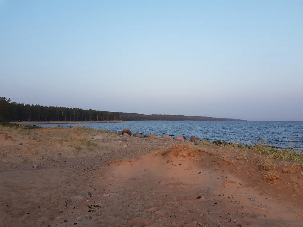 Коттедж Академическая дача (коттедж) у Финского залива, Зеленогорск-Смолячково — Санкт-Петербург