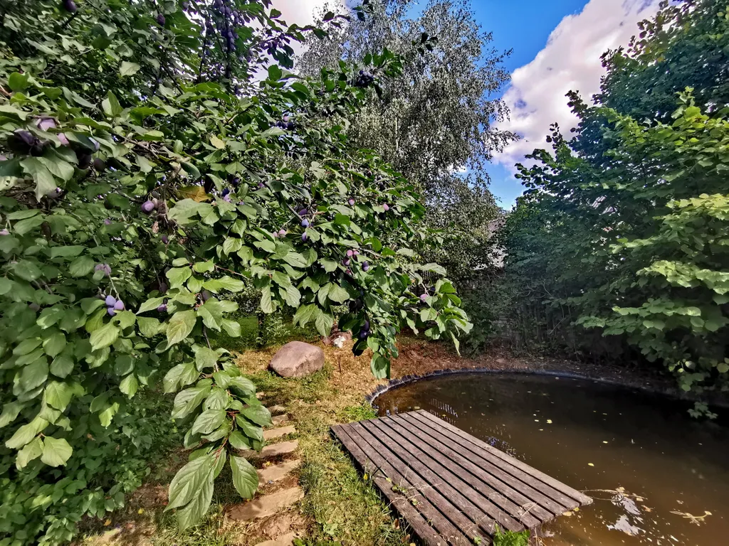 Дом дизайн 20соток баня экскурсии на ретроавто "Винтажные туры" центр