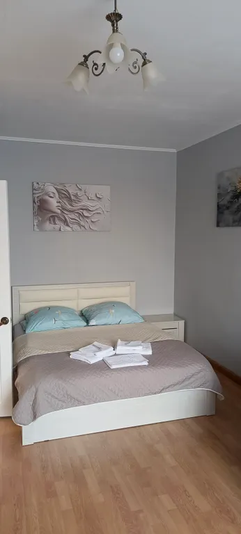 Квартира не далеко от трассы М-4, уютная, просторная, светлая — аренда посуточно в Аксай