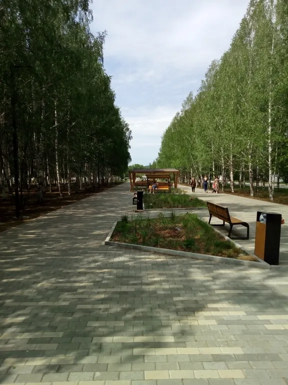 Уютная квартира с видом на парк