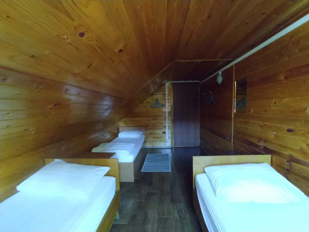 Дом через сосновый лес у Балтийского моря