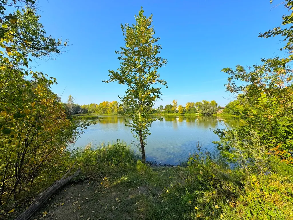 Коттедж Ливерпуль