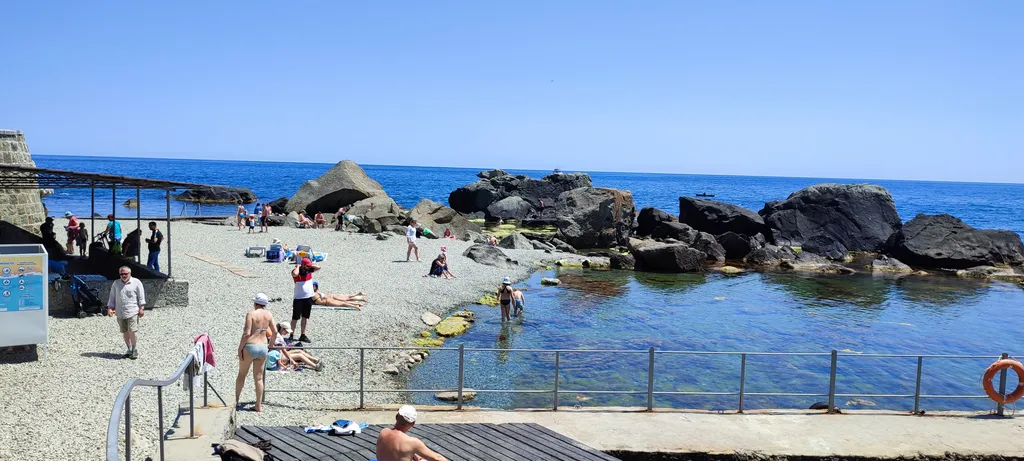 Домик с павлином