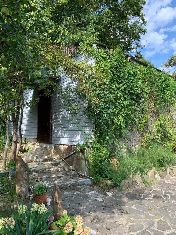 Коттедж Отдельный домик на 4-5 человек в лесной зоне — аренда посуточно в Новомихайловский