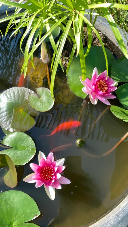 Коттедж Уютный загородный домик — Варваровка