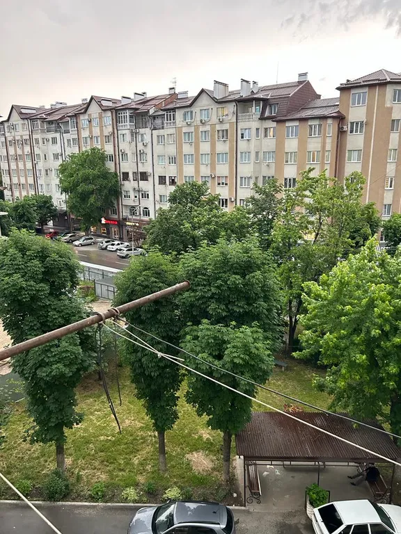 Квартира в центре рядом с парком