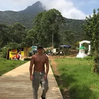Бунгало в соснах