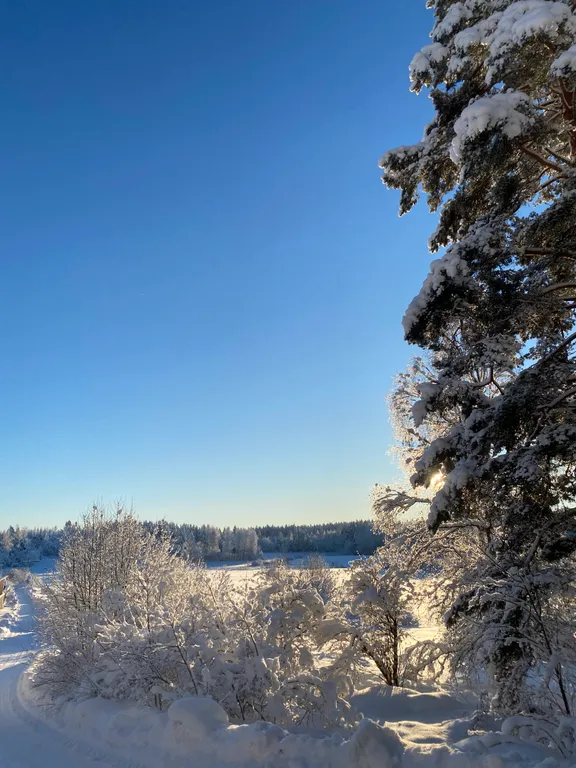 Эко-дом на природе со всеми удобствами