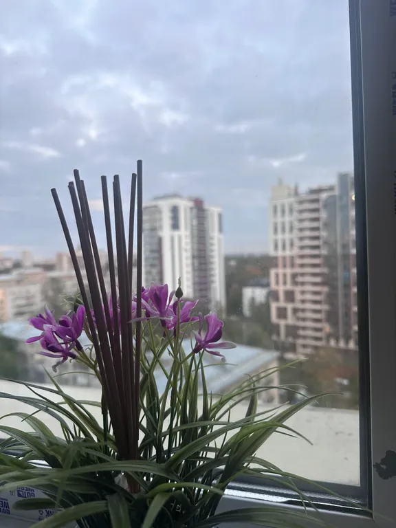 Квартира Современная, уютная 1-я квартира у метро Пионерская и Удельная — Санкт-Петербург