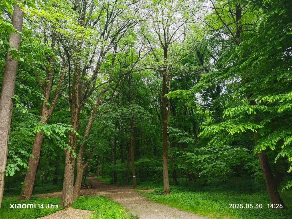 Коттедж Второй этаж дома в центре города — Калининград
