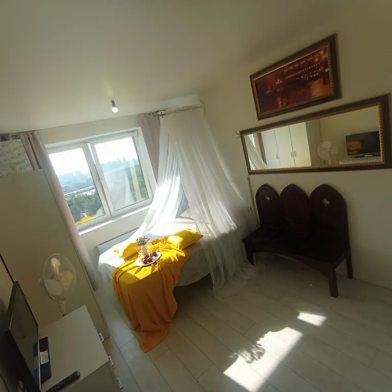 Квартира с балдахином натуральная мебель готика