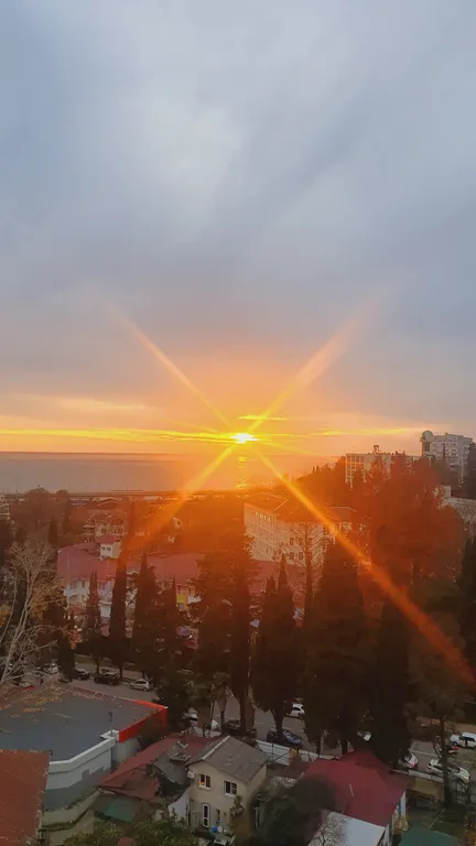 Хоста у моря