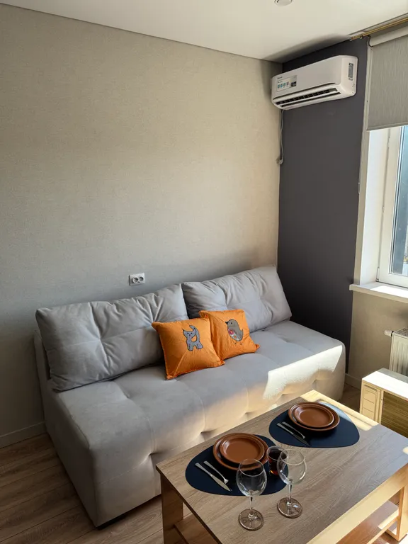 Шикарная квартира рядом с СФУ