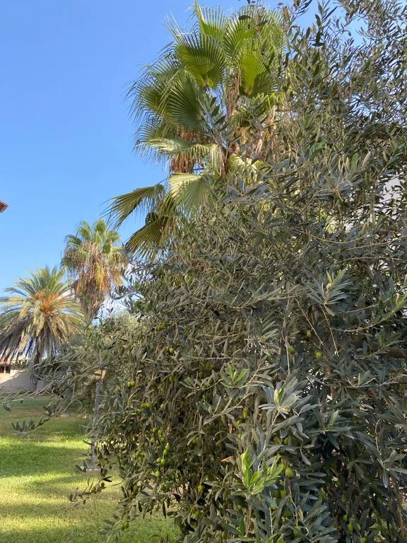 6-комнатный Дом