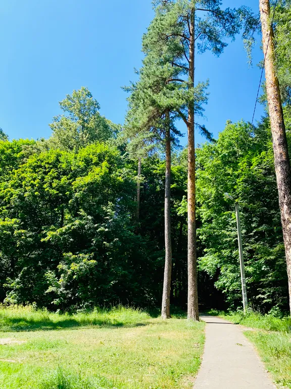 Апартаменты