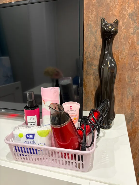 Квартира в центре города, рядом музей Янтаря, верхнее озеро и северный вокзал