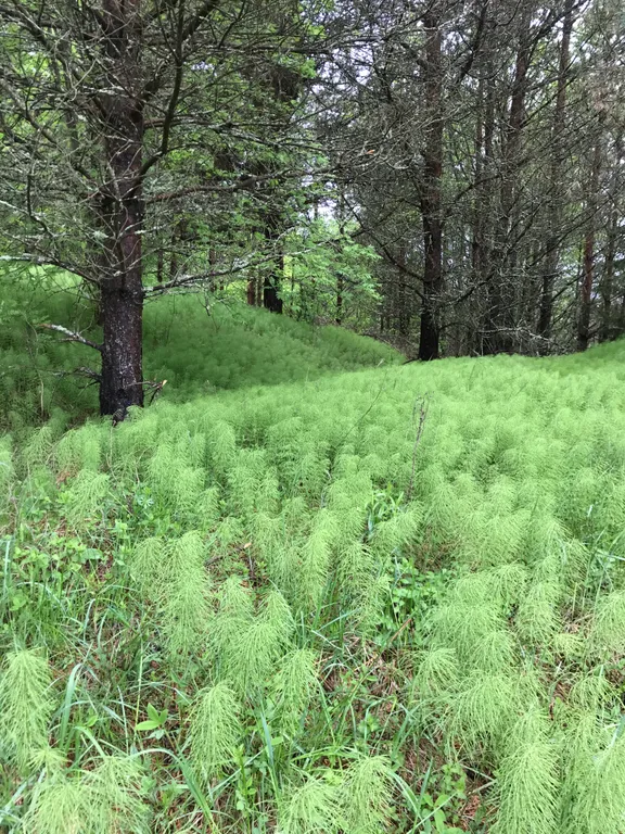 Дом на холме