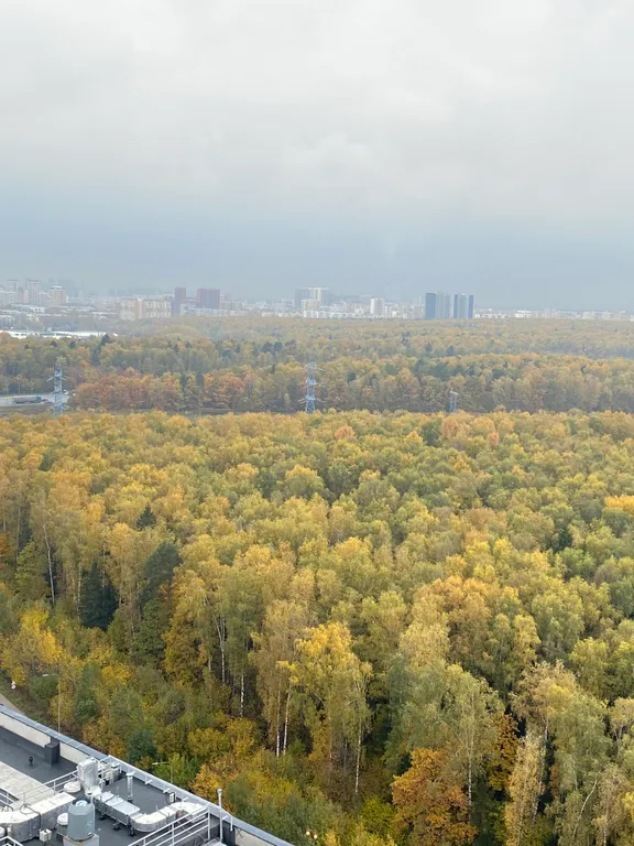 Уютная студия на 25 этаже