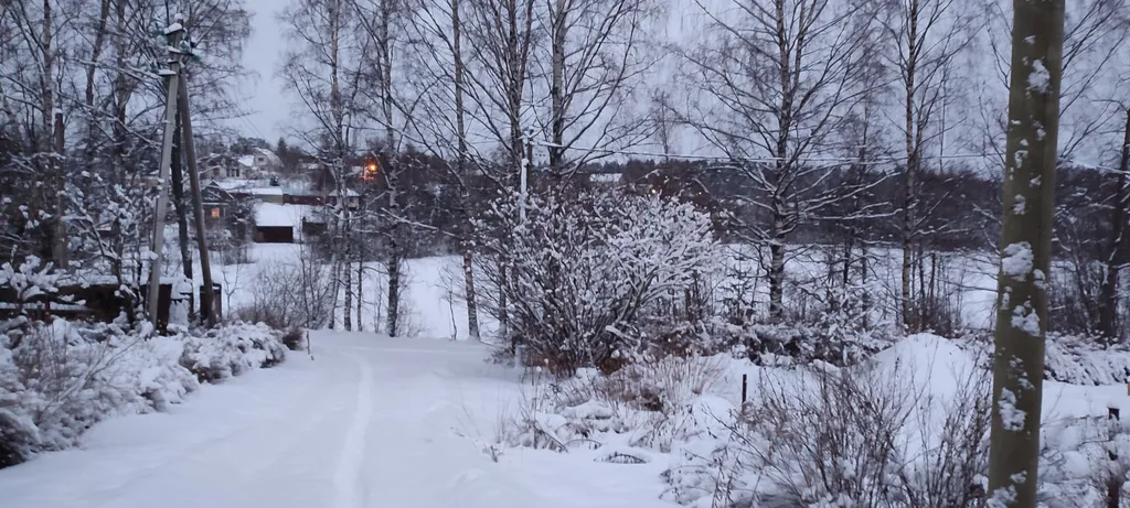 Петербургская дача на холме прямо у озера