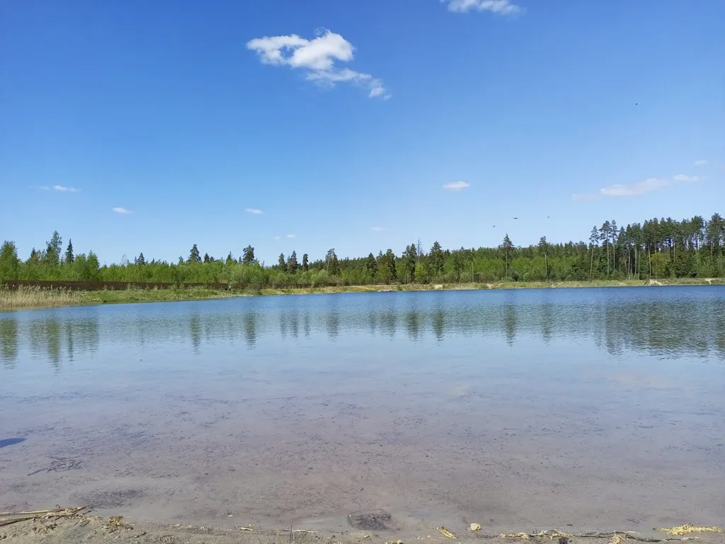 Квартира Уютная квартира, рядом лес и озеро — Свердловский