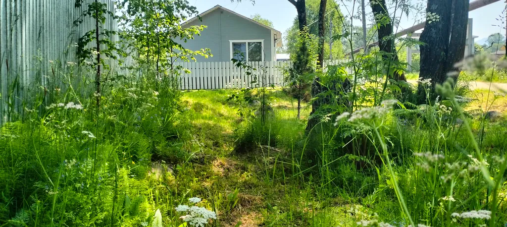 Первая линия Байкала