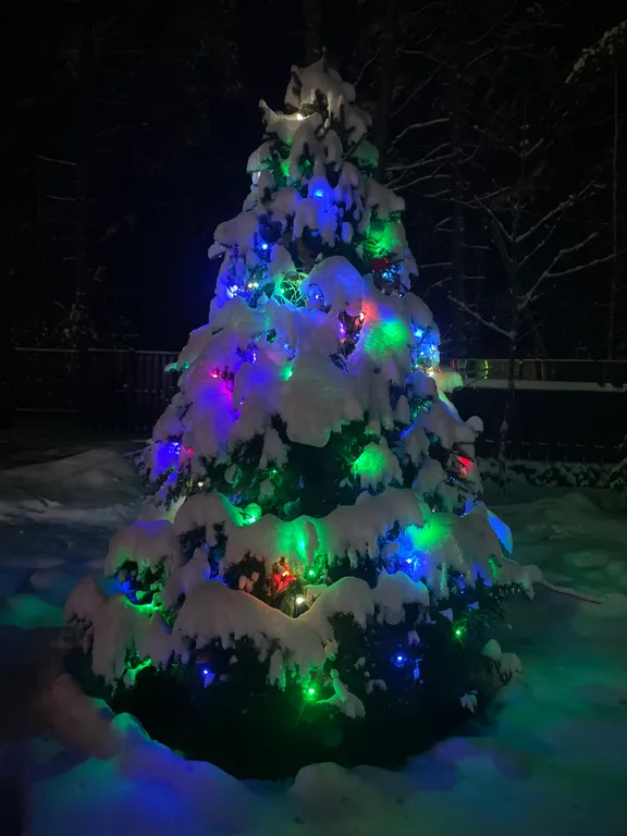 Коттедж Уютный домик в сосновом бору на берегу финского залива — Ключевое