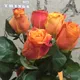 Юлия