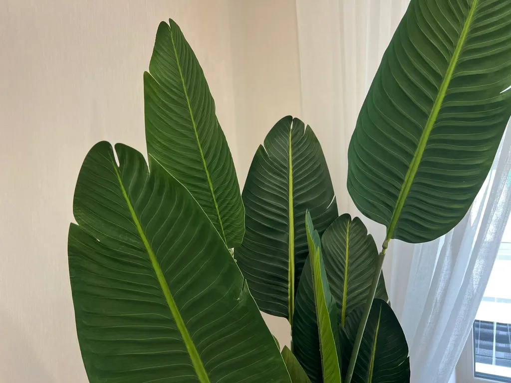 Квартира возле ТЦ Макси