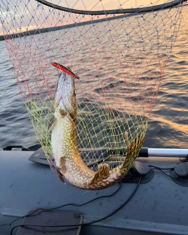 Уютный таунхаус