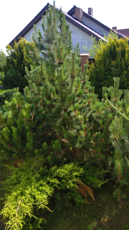 Дом в средиземноморском стиле