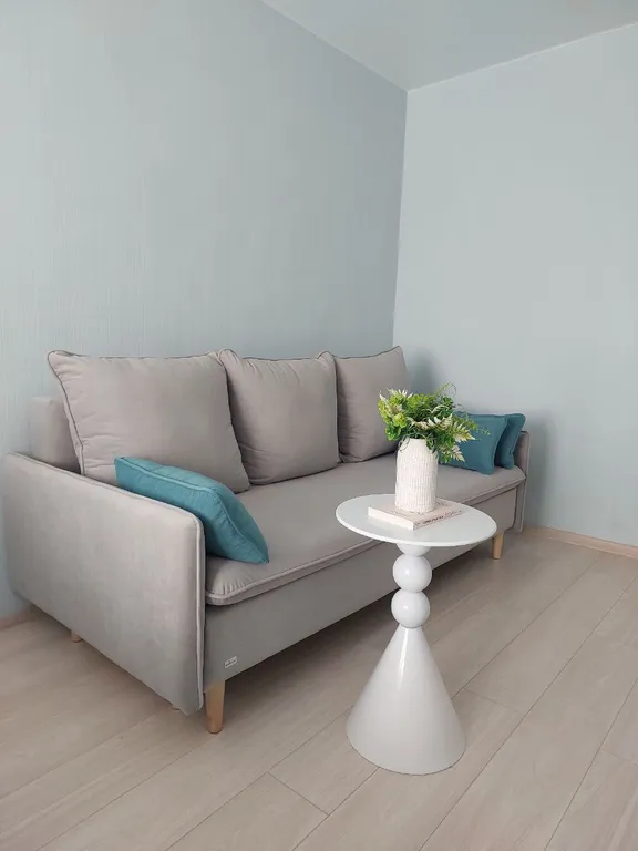 1 комнатные апартаменты в центре города