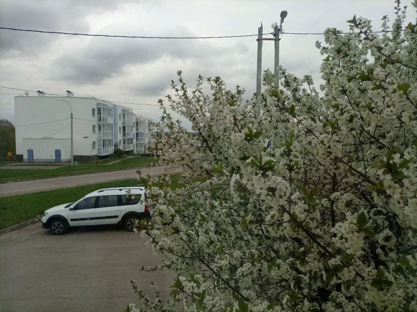 Вид из окна на парковку
