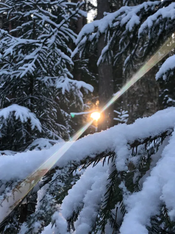 Комфортный  дом с баней в тихом месте с закрытой территорией