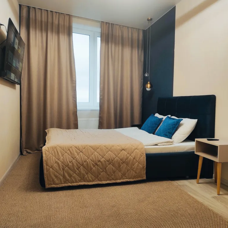 Уютная квартира на Ботальной