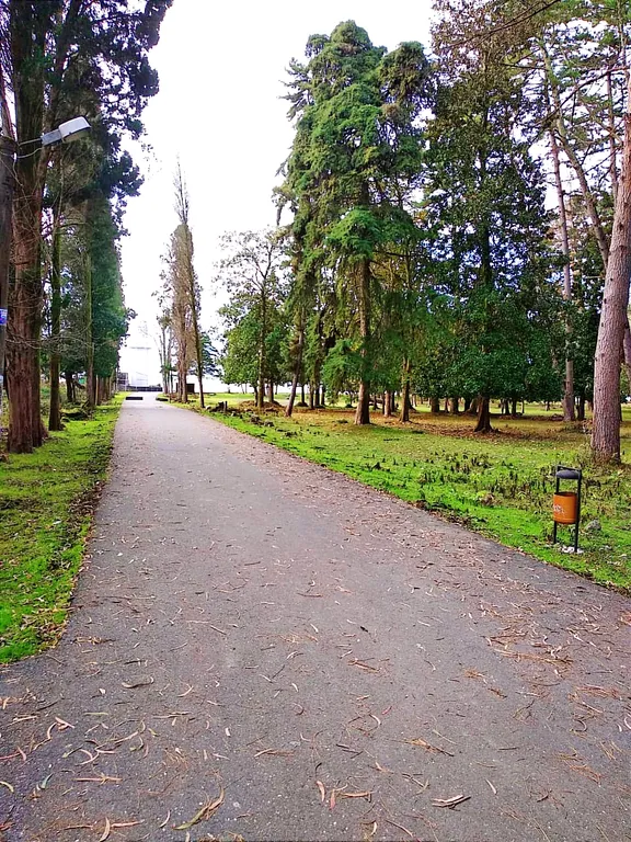 Очень уютная солнечная квартира