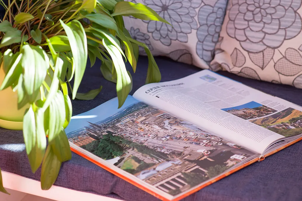 Сканди-студия в исторической части города