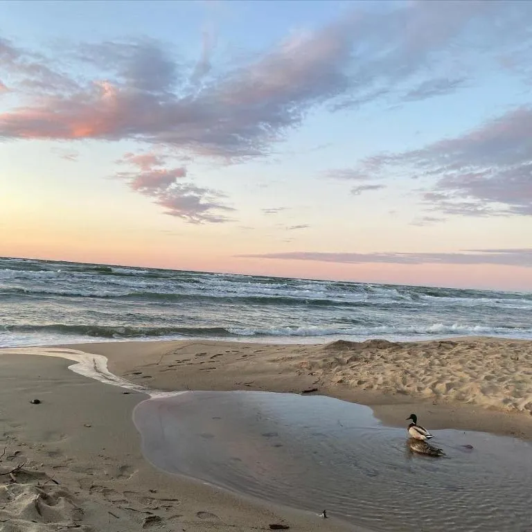 Квартира Квартира Светлогорск рядом с морем — Светлогорск