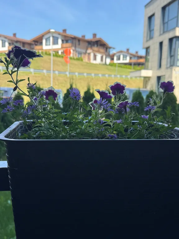 Охта прованс с биокамином и ванной комнатой