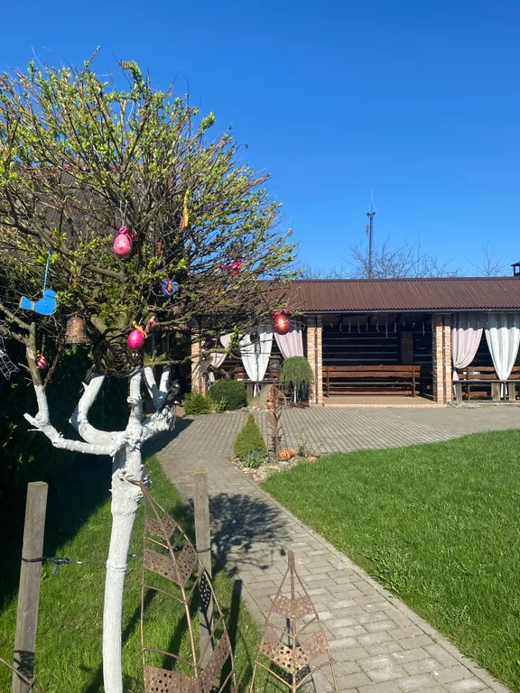 Дом для большой компании возле Мирского замка