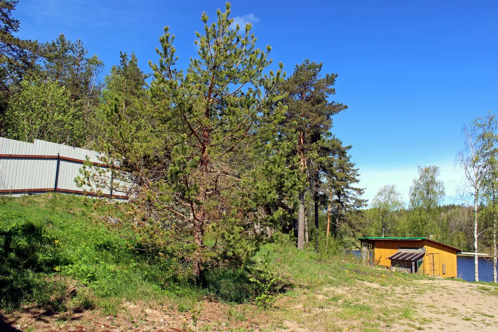 Ласточкино гнездо