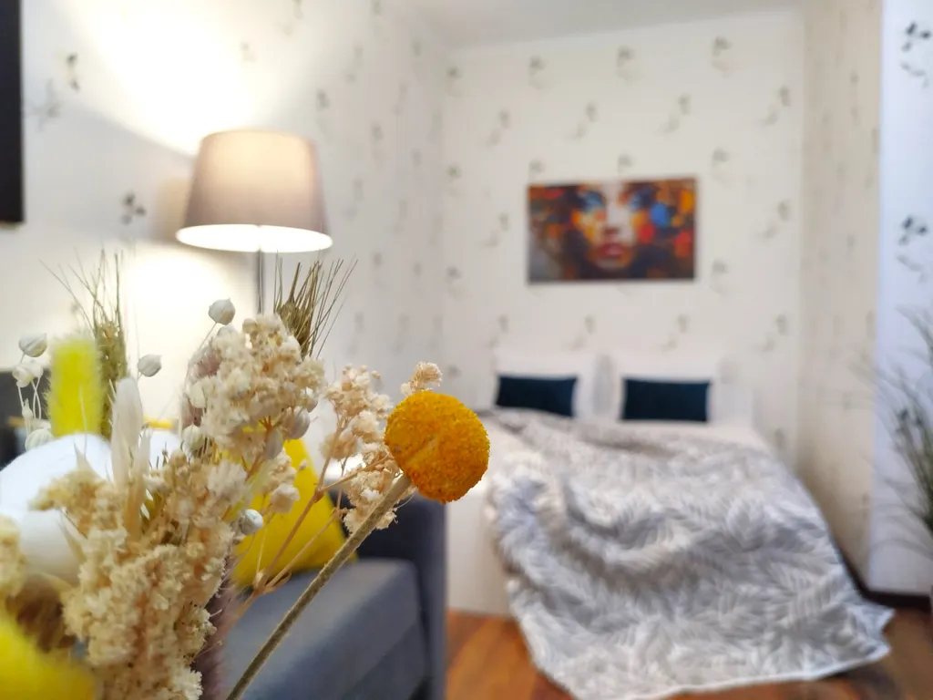 Forest Story Sutki Life